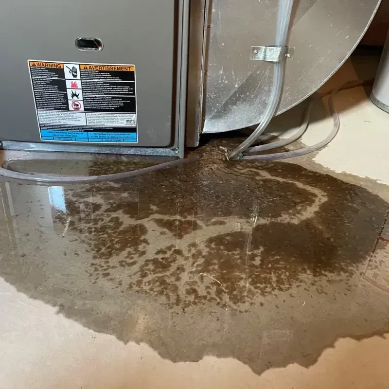 Appliance Leak Cleanup in Sandia Knolls, NM